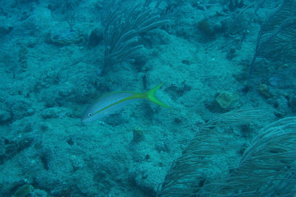 2008-05-17 15-02-58 H.JPG